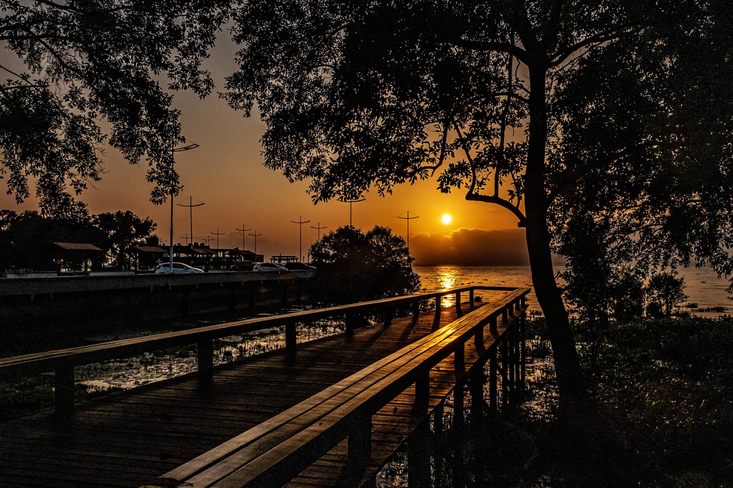 Natureza amazônica ao amanhecer