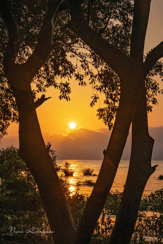 Nascer do sol na orla de Macapá – Pier do Santa Inês